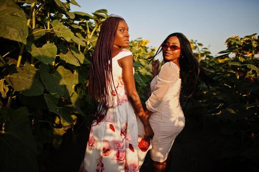 dos jóvenes amigas negras usan pose de vestido de verano en un campo de girasoles. foto