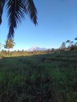 hermoso paisaje natural en una mañana soleada foto