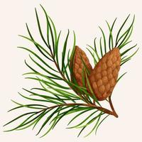 Pine branch with cones 2 vector