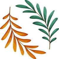 Green and orange branch, summer and autumn branch vector