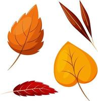 hojas de otoño simples aisladas vector