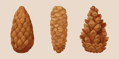 Pine cone, fir cone, forest cone in cartoon style vector