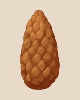 Pine cone, fir cone, forest cone in cartoon style vector