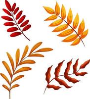 Set of autumn branches vector