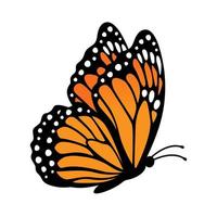 mariposa monarca, vista lateral. ilustración vectorial aislado sobre fondo blanco vector
