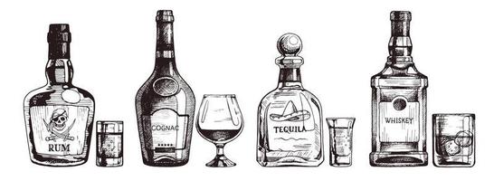 Hand drawn set of alcoholic drinks. Bottle of rum, cognac, tequila, whiskey. Vector beverage illustration, ink sketch