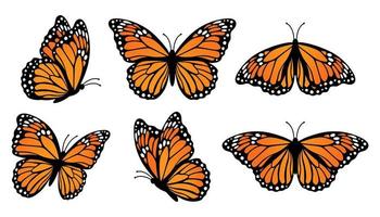 conjunto de mariposas monarca. ilustración vectorial aislado sobre fondo blanco vector