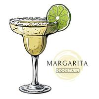 Margarita cocktail, hand drawn alcohol drink with slice of lime and salt. Vector illustration