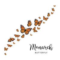 Fiying Monarch butterflies. Vector illustration isolated on white background