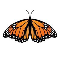 mariposa monarca. ilustración vectorial aislado sobre fondo blanco vector