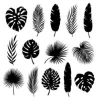 Palm leaves set. Black silhouettes of tropical plants. Vector collection