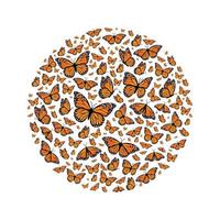 mariposas monarca mariposas en forma de círculo. ilustración vectorial aislado sobre fondo blanco vector