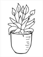 Cute hand drawn houseplant in a pot clipart. Plant illustration. Cozy home doodle vector