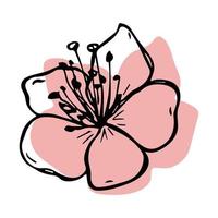 clipart de flor de cerezo vectorial. ilustración de flor dibujada a mano vector