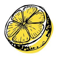 Vector lemon clipart. Hand drawn citrus icon. Fruit illustration. For print, web, design, decor