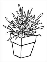 Cute hand drawn houseplant in a pot clipart. Plant illustration. Cozy home doodle vector