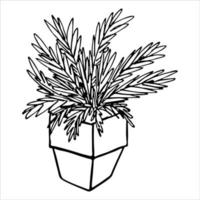 Cute hand drawn houseplant in a pot clipart. Plant illustration. Cozy home doodle vector