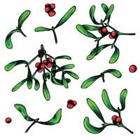 Hand drawn Christmas and New Year set of mistletoe twigs with berries. Christmas decoration isolated on a white background. For invitations, greeting cards, print, web, design. vector