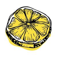 Vector lemon clipart. Hand drawn citrus icon. Fruit illustration. For print, web, design, decor