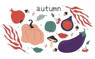 Hand drawn doodle set of autumn vegetables in bright colors vector