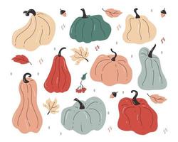 Hand drawn set of pumpkins of different bright and colorful shapes with leaves, rowan and acorns vector