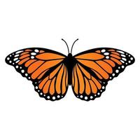 mariposa monarca. ilustración vectorial aislado sobre fondo blanco vector