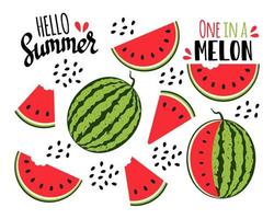 Watermelon collection. Watermelon slices and seeds. Vector illustration
