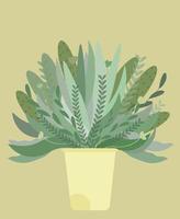 Succulent houseplant cactus natural hand drawn organic doodle botanic in a pot.