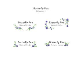 conjunto de vector de adorno floral de guisante de mariposa