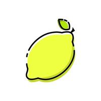 lemon lime vector