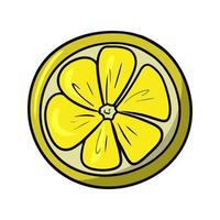 Bright round slice of lemon, ingredients for making tea, cocktails, pastries, vector illustration in cartoon style on a white background