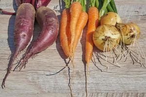 Freshly harvested homegrown organic beetroot, onion and carrot on wooden table. top view, copy space. photo