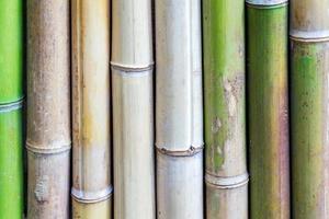 fondo de valla de bambú. condición natural foto