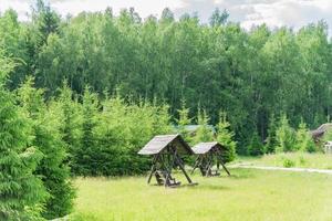 old wooden swing at the edge of the forest photo