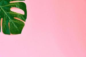 Trendy green textile monstera leaf on pink background. Mnimal flat lay, top view photo