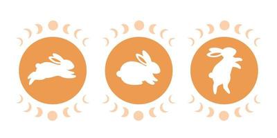 lindo conejo con astrología y elementos esotéricos. conejito mago. año del conejo 2023 vector