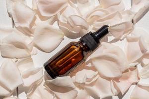 Homemade skincare natural rose water or essential oil product. White rose petals and cosmetic glass bottle dropper with moisturizing serum, facial toner, cleansing, makeup remover or treat acne. photo