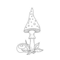 Cute amanita or fly agaryc, leaves, stones in line art style. Esoteric symbol. Vector illustration for mystical theme, coloring book.