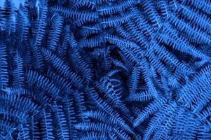 Trend color 2020 classic blue, fern leaves background for design. photo