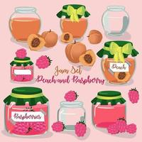 A set of fruit jams in glass jars in cartoon style. Peach and raspberry with fruit elements. Used for children's illustration, kitchen, food illustration. vector