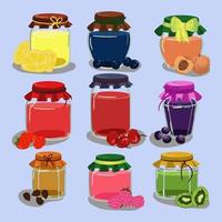 A set of fruit jams in glass jars in cartoon style. Kiwi, raspberry, pine cones, cherry, black currant, blueberry, strawberry, cherry, peach. Used for children's illustration, kitchen, food illustrati vector