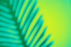 Top view of tropical palm leaf shadow on green and blue background. Flat lay. Summer concept with palm tree leaf, copyspace photo