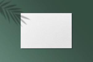 Square Paper Mockup with realistic shadows overlays leaf. Shadow Of A Tropical Plant. Template Flyer, Poster, blank, social media post, logo template in a trendy style photo