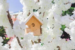 close up of birds house on a blooming apple tree. Street decoration. photo