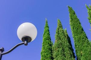 Street vintage lantern on background of blue sky and huge cypresses. photo