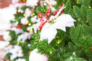 close up of christmas tree decorated with poinsettia and garland with lights on. Festive background with copy space for your projects photo