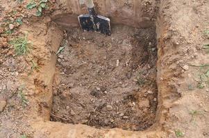 The gardener makes a hole in the ground for planting trees photo