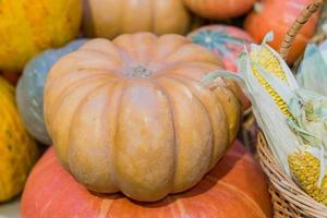 concepto de naturaleza otoñal. caen las verduras de cerca. cena de acción de gracias y decoración. maíz y calabaza foto