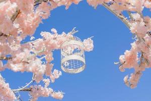 White decorative bird cage hanging on branch of blooming apple tree on sky background. Spring city decoration photo