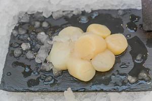 Fresh seafood - scallops - displayed on ice grocery store. Selective focus. photo